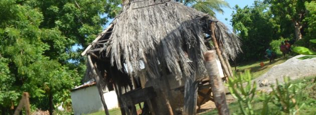 Thatch roof cook house